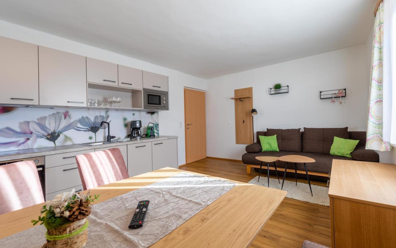 Haus Pitzer/Apartments Troicher Schladming Exterior foto
