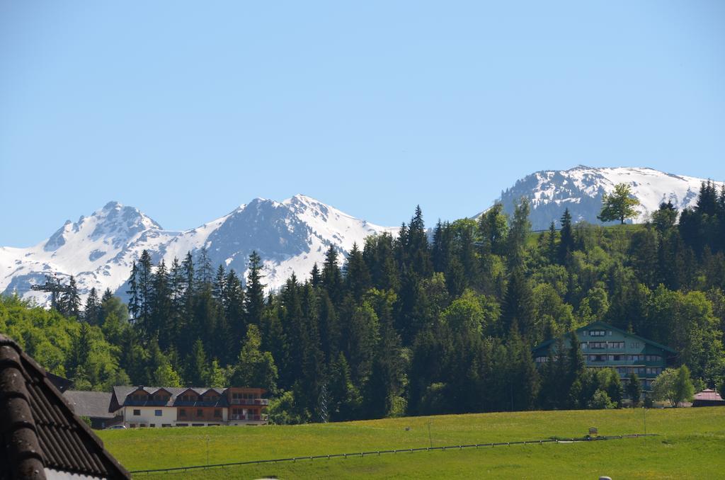 Haus Pitzer/Apartments Troicher Schladming Quarto foto